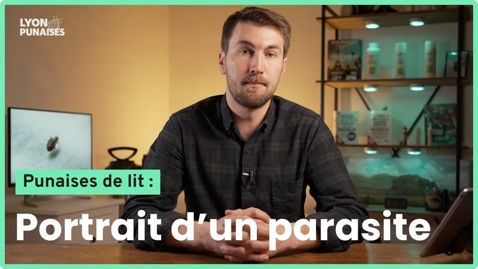 Ep.1 : (RE)CONNAÎTRE LA PUNAISE DE LIT